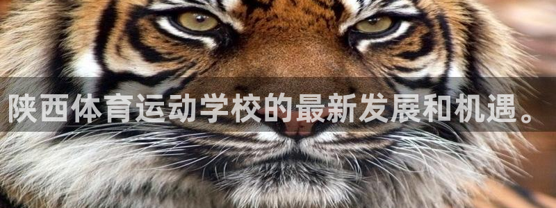 必一运动官网：陕西体育运动学校的最新发展和机遇。
