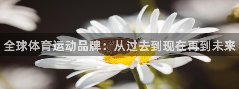 b体育必一运动官网：全球体育运动品牌：从过去到现在再到未来