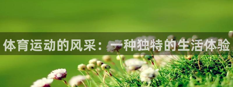必一运动官网：体育运动的风采：一种独特的生活体验
