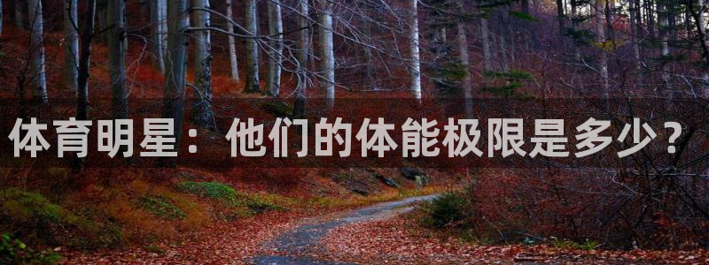 bsport必一运动：体育明星：他们的体能极限是多少？