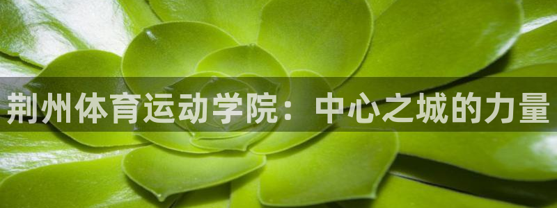 必一运动bsport体育：荆州体育运动学院：中心之城的力量