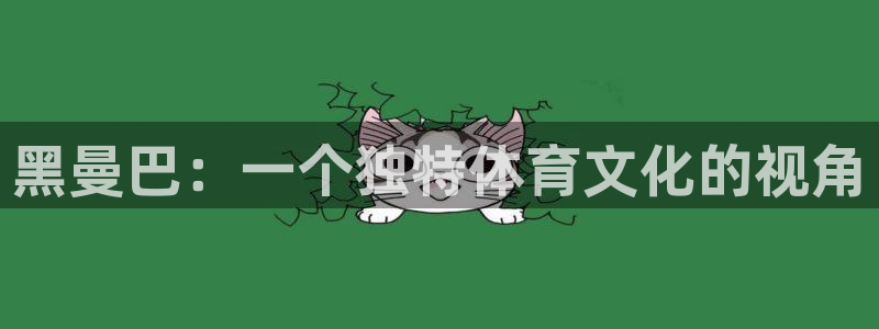 必一运动：黑曼巴：一个独特体育文化的视角